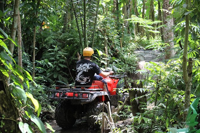 1.5 Hours Bali ATV Quad Tour - Who Will Enjoy This Most