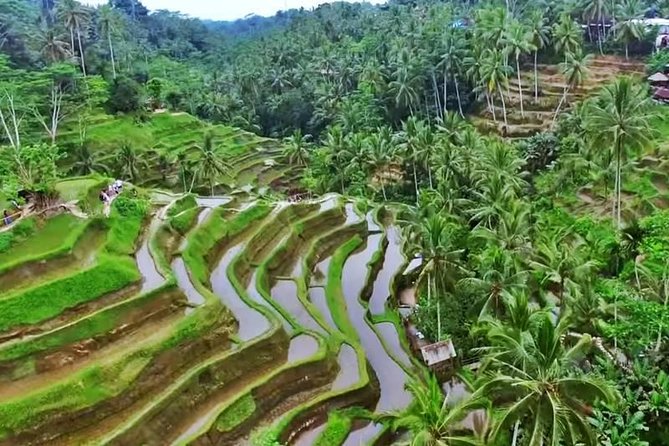 2-Day Experience Bali: Most Popular Tour - Why two days works better for Bali’s major sights