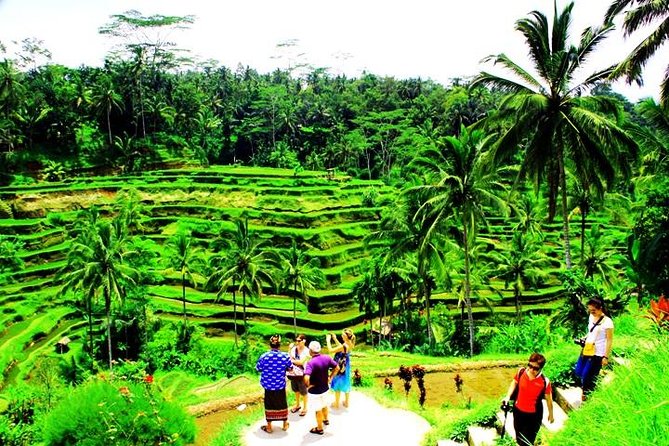 2 Days Best of Bali Famous Tour Packages - What the two-day Bali tour is really designed to do