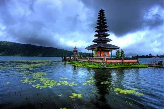6 Days Best Of Bali And Nusa Penida All Inclusive Private Tour - Day 3: Ubud’s monkeys, rice terraces, and holy water