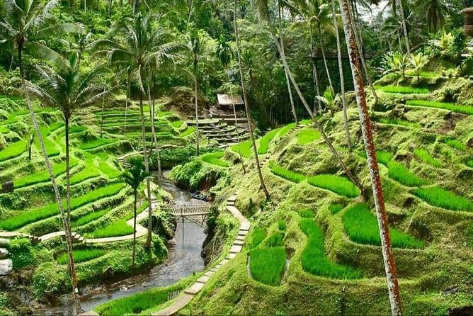 6 Days Best Of Bali And Nusa Penida All Inclusive Private Tour - Day 2: Nusa Penida’s famous west coast