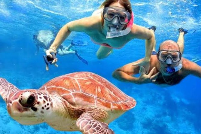 All Inclusive Bali Blue Lagoon Snorkeling with Lunch and Transport - Two underwater stops near Padang Bai