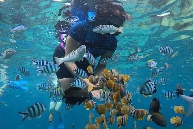 All Inclusive Blue Lagoon Snorkeling with Bali ATV Quad Adventure - Lunch, Transport, and the Real Value of $70