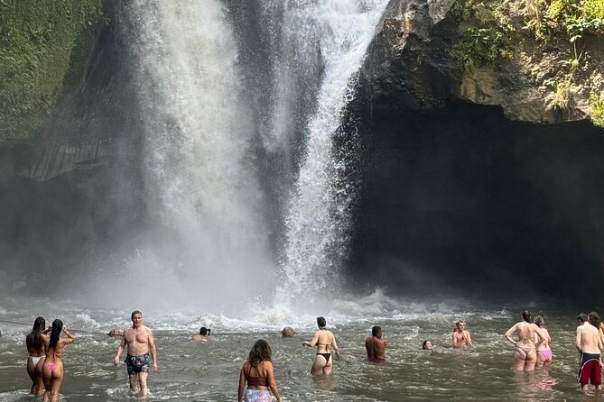 All Inclusive Ubud Cultural and Natural Highlights Tour - What the $75 price really covers