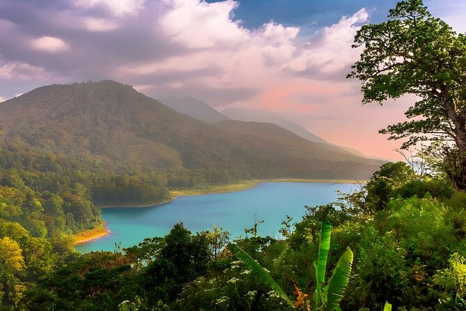 Amazing Bali Dolphin Watching Trip Experience - Tamblingan Lake and Bali’s cool interior