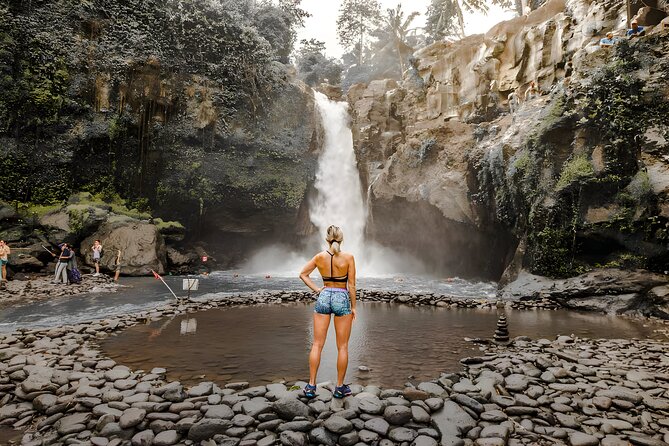 Amazing Bali Swing Activities and Ubud Full Day Trip - Monkey Forest brings shade and macaques