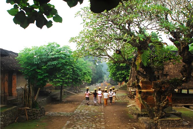Amazing Private East Bali Full-Day Tour - How the private format changes the day
