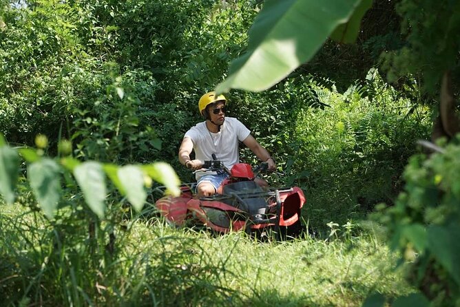 ATV Quad bike tour with Rice terraces & temple - Should you book the ATV and Ubud tour?