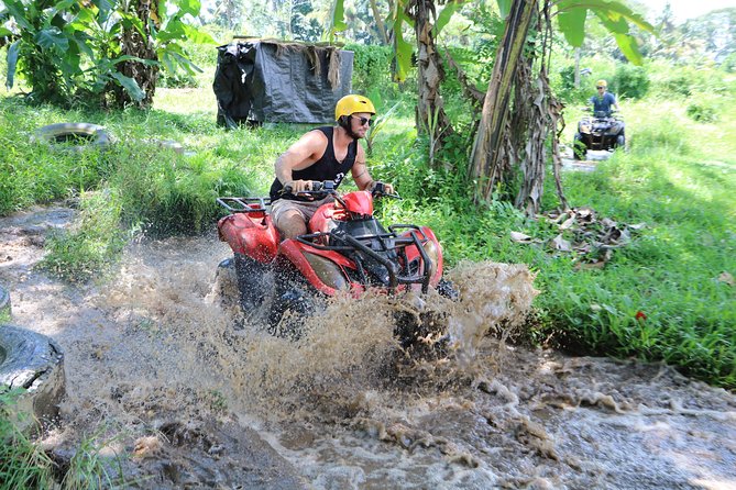 ATV Tour with Monkey Forest Experience in Bali - Sangeh Monkey Forest and its giant pala trees