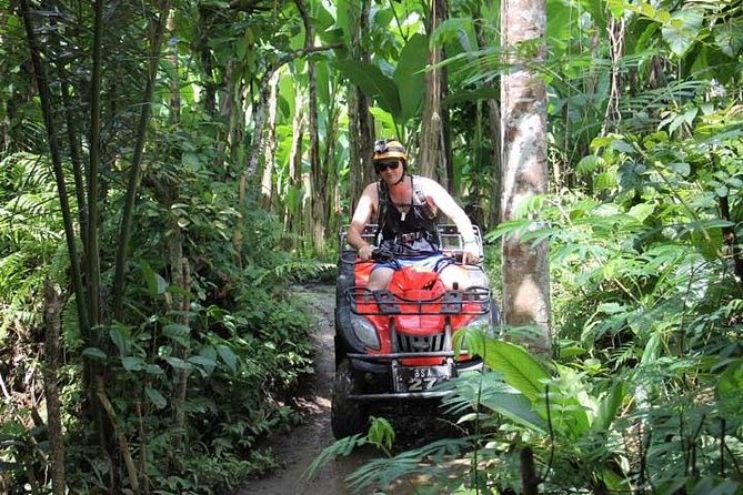 ATV Tour with Monkey Forest Experience in Bali - Who should book this Bali day?