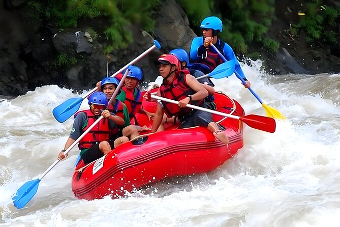 Ayung River Rafting and Bali ATV Ride Packages - Who should book this experience?