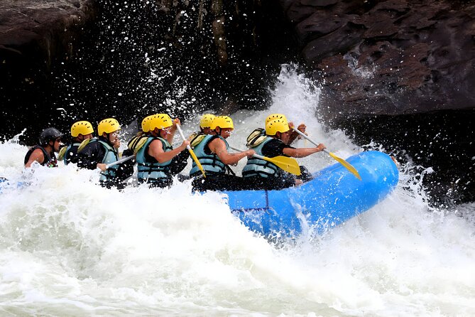 Ayung River Rafting and Ubud Waterfall Tour - Who should book this Bali tour