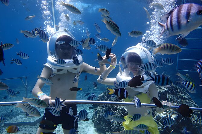 Bali Activity: Bali Sea Walking in Nusa Dua Ocean - What the Nusa Dua sea walk is really like