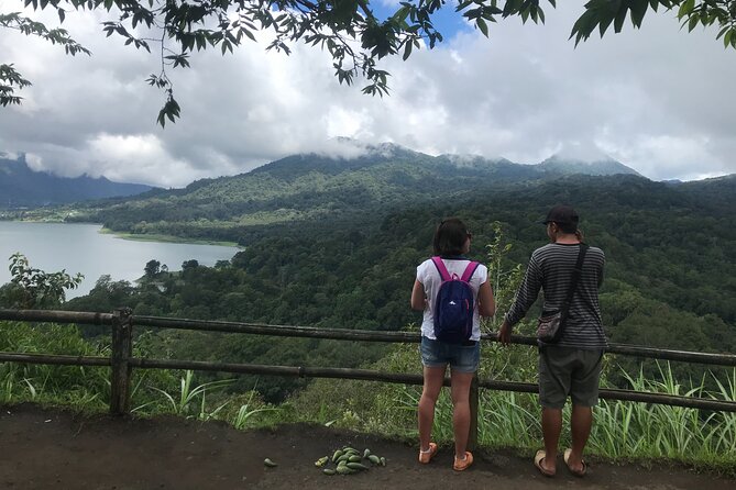 Bali Airport Arrival Transfer and Private Car Charter Combo - What each type of stop offers