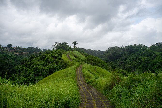 Bali Airport Pickup Transfer to Ubud Area (Private) - The 1.5 to 2 hour ride toward Ubud