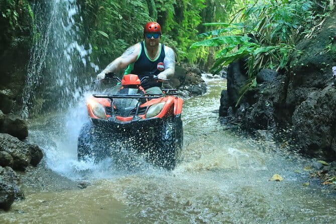 Bali ATV Quad Bike Ubud Swing & Monkey Forest All Inclusive - A full day from Seminyak to Ubud