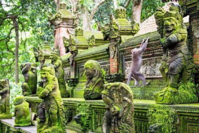 Bali ATV Quad Bike Ubud Swing & Monkey Forest All Inclusive