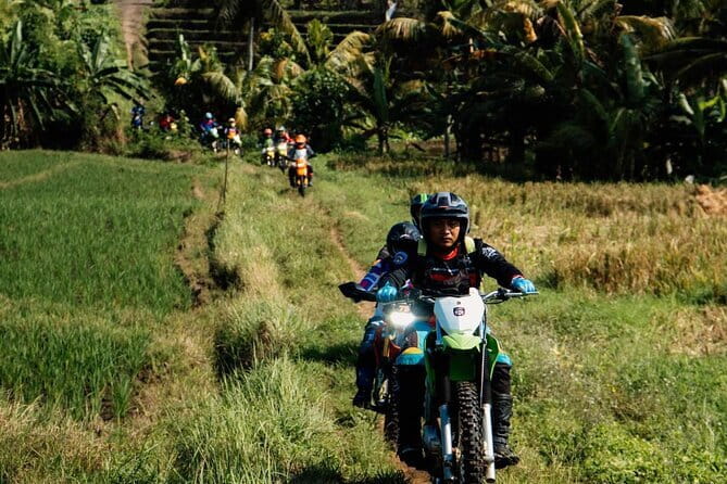 Bali ATV Quad Bike Ubud Swing & Monkey Forest All Inclusive - Who should book this Bali ATV and Ubud tour?