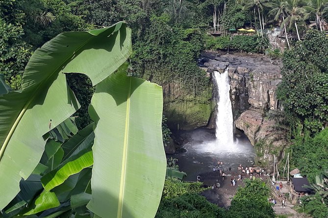 Bali ATV Rafting And Ubud Waterfall Private Tour - Who will enjoy this Bali combination tour