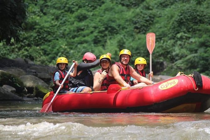 Bali ATV Rafting And Ubud Waterfall Private Tour - Ayung River rafting with a professional guide