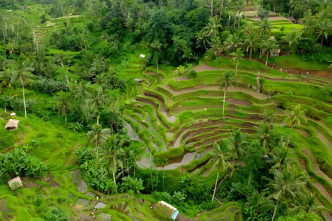Bali ATV Ride And Ubud Tour Packages : Best Quad Bike Trip - Why the ATV ride is the heart of the day