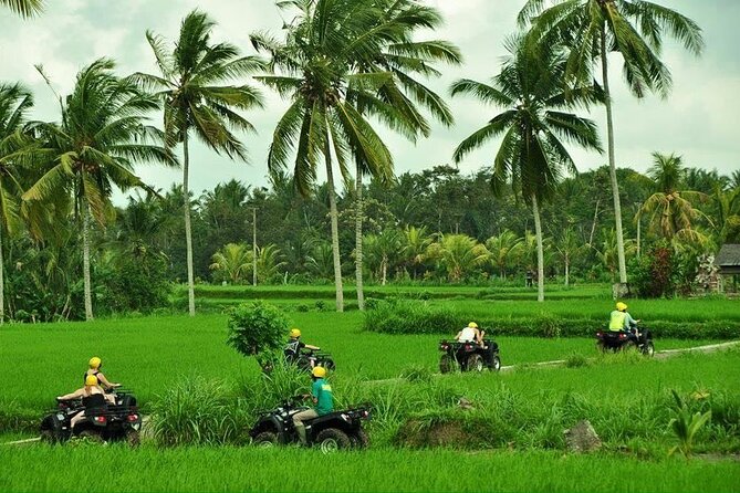 Bali ATV Ride tour Ubud - Starting at Bali Pertiwi Adventure in Bongkasa Pertiwi