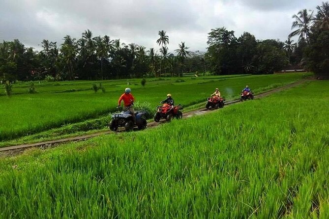 Bali ATV Ride tour Ubud - Lunch after the ride