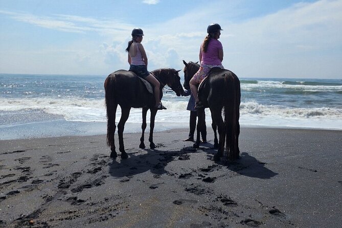 Bali Beach Horse Riding combo with waterfall All Inclusive - Who will get the most from this experience?