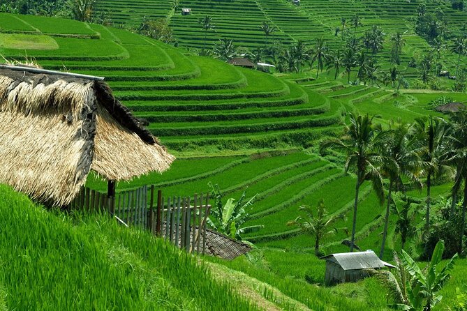 Bali: Bedugul Lake Temple, Banyumala Waterfall, UNESCO Rice Field - Ulun Danu Beratan and the cool mountain air