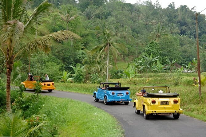 Bali: Bedugul Temple, Banyumala Waterfall, UNESCO Rice Terrace - Who will get the most from this tour