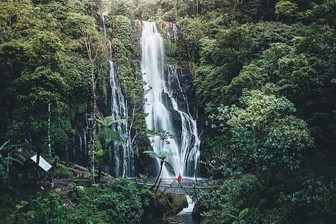Bali: Bedugul Temple, Banyumala Waterfall, UNESCO Rice Terrace - Banyumala Twin Waterfalls and the optional swim
