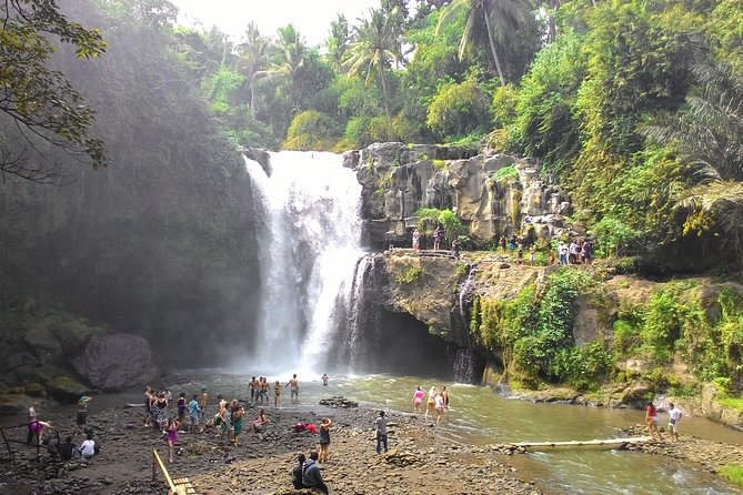 Bali Benoa Shore Excursion for cruise's passenger - All Inclusive - Lunch at Ceking Rice Terrace