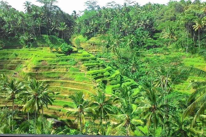 Bali Benoa Shore Excursion for cruise's passenger - All Inclusive - Legong Fine Art of Batik
