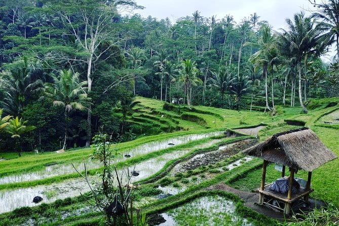 Bali: Best Eastern Waterfalls with Private Bali Tours - Is $39 good value?