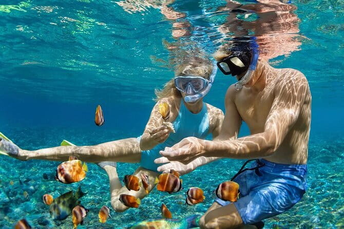 Bali Blue Lagoon Snorkeling and Waterfall Day Tour with Lunch - Indonesian lunch between sea and jungle