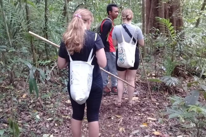 Bali Blue Lagoon Snorkeling and Waterfall Day Tour with Lunch - Private transport and the pace of the day