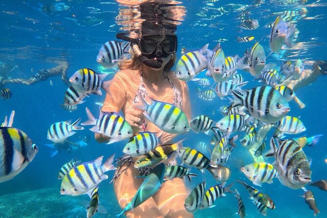 Bali Blue Lagoon Snorkeling - Lunch and Transport All Inclusive - Blue Lagoon puts the water first