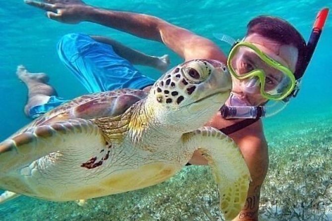 Bali Blue Lagoon Snorkeling - Lunch and Transport All Inclusive - Who will enjoy this tour most
