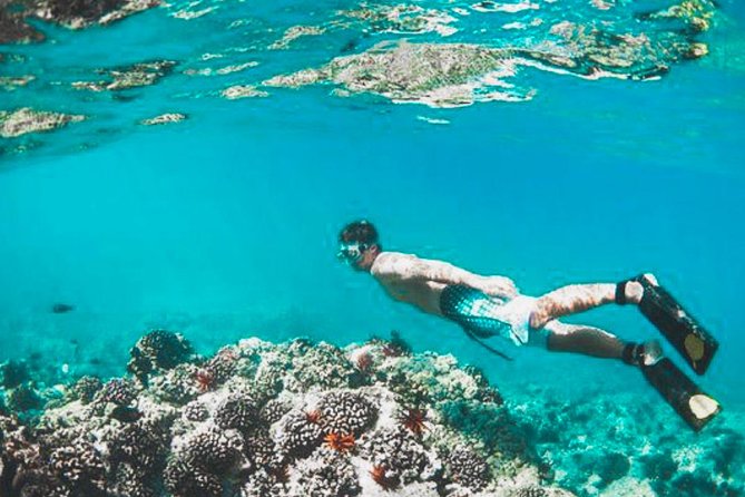 Bali Blue Lagoon Snorkeling - Lunch and Transport All Inclusive - Booking value and small extra costs