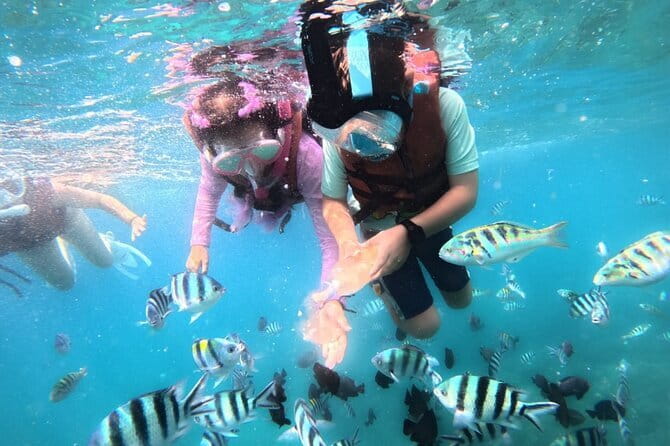 Bali Blue Lagoon Snorkeling Tour All Inclusive - What the $42 price really covers