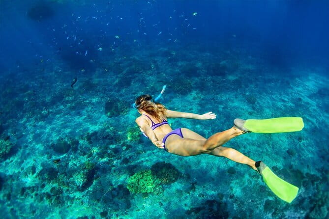 Bali Blue Lagoon Snorkeling Tour All Inclusive - The optional Ubud waterfall extension