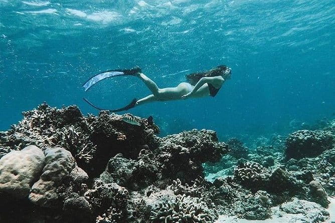 Bali Blue Lagoon Snorkeling Tour All Inclusive - Who will enjoy this outing most