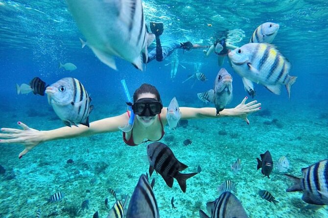 Bali Blue Lagoon Snorkeling with Optional Tour & Activities - Two snorkeling areas by short boat ride