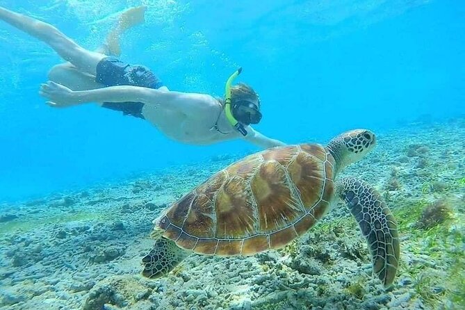 Bali Blue Lagoon Snorkeling with Private Transfer & Lunch - Optional waterfalls: Tibumana and Kanto Lampo