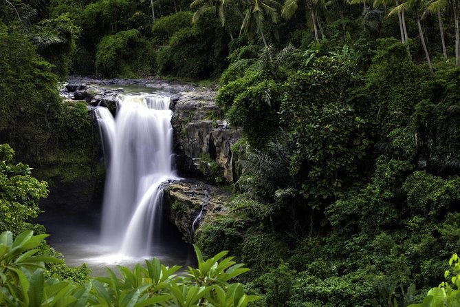 Bali Breathtaking Waterfall Tour (Private & All-Inclusive) - Is $114 a fair price?