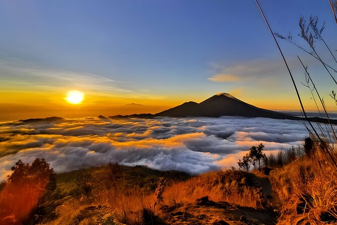 Bali Car Charter with English Speaking Driver - Ubud’s Sacred Monkey Forest