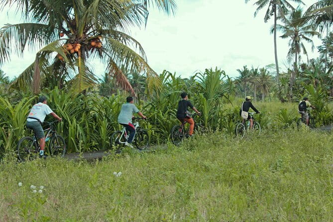 Bali Countryside Eco Cycling Tour include Lunch - Leaving Seminyak for Rural Bali