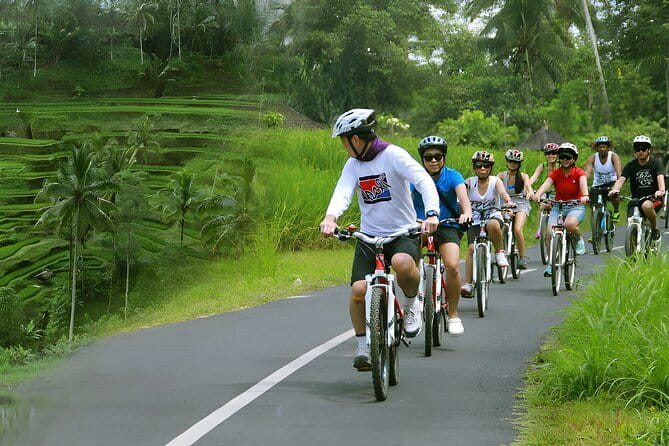 Bali Countryside Eco Cycling Tour include Lunch - Who Should Book This Bali Bike Tour?