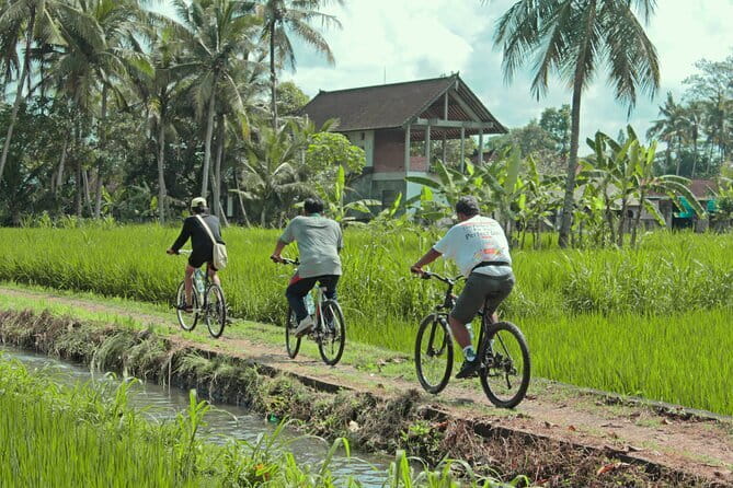 Bali Countryside Eco Cycling Tour include Lunch - The Easy Downhill Ride Through Villages