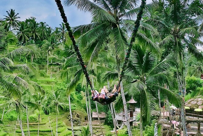 Bali Culture and Choose Your Bali Tour Route in Bali with Bali driver-Free WIFI - Pick one route, not all 28 stops